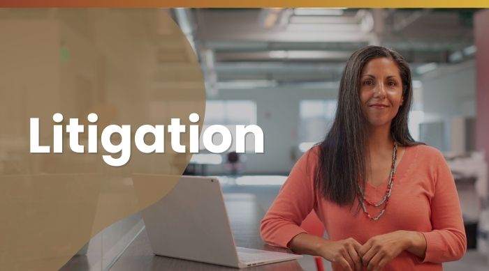 Litigation Ireland
